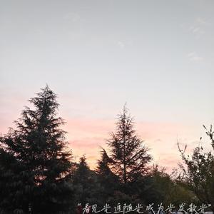 熟妇丰满捆绑粗暴
