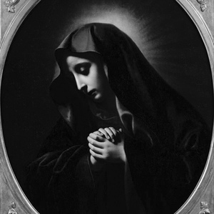 熟妇丰满捆绑粗暴
